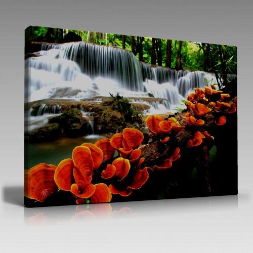 V924 (100cm x 70cm)
