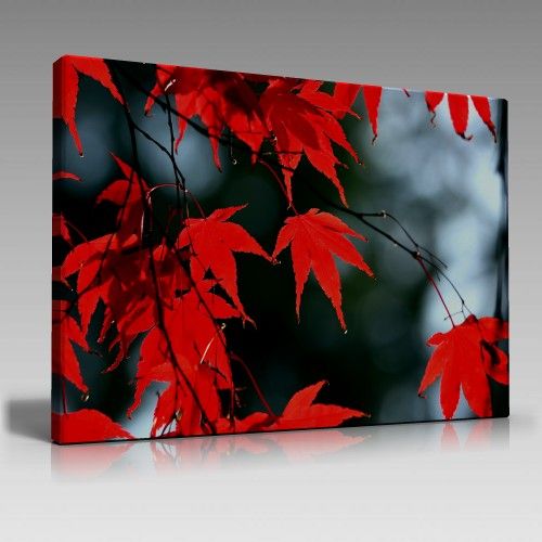V1075 (135cm x 90cm)