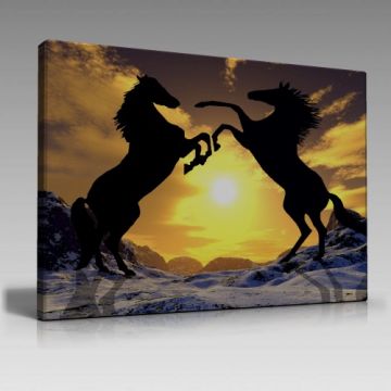 Atların Şahlanışı Tablo (45cm x65cm)