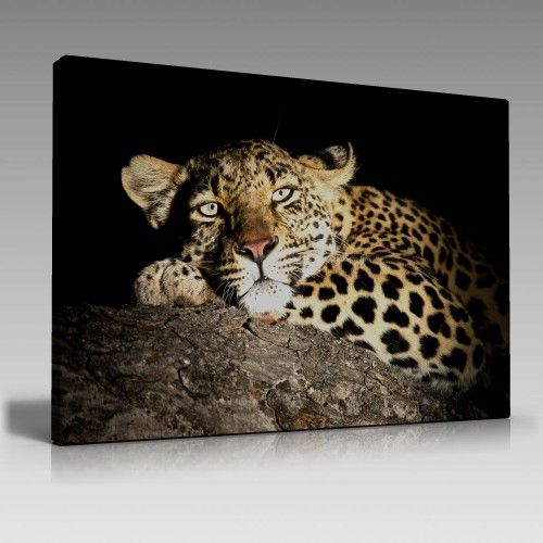 Tiger Tablo (90cm x 60cm)