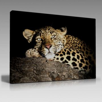 Tiger Tablo (90cm x 60cm)