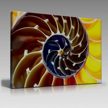 V931 (135cm x 90cm)