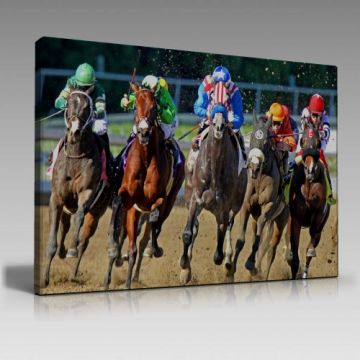 V1079 (120cm x 80cm)