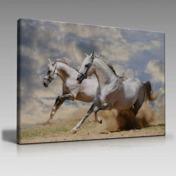 Atlar-2 Tablo (120cm x 80cm)