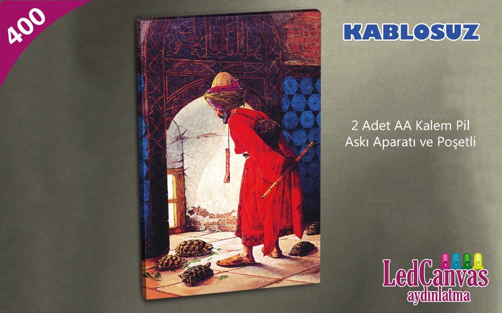 Kaplumbağa Terbiyecisi Işıklı Tablo