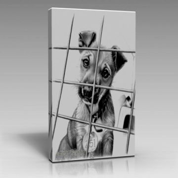 Masum Köpek (80cm x 120cm)