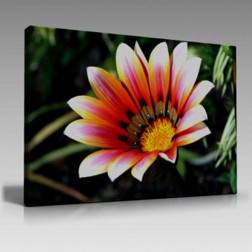 flower (135cm x 90cm)