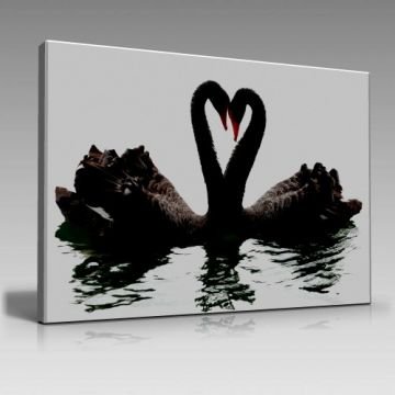 Kuğulu Kalp-2 Tablo (90cm x 60cm)