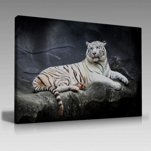 V944 (90cm x 60cm)