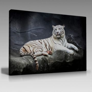 V944 (90cm x 60cm)