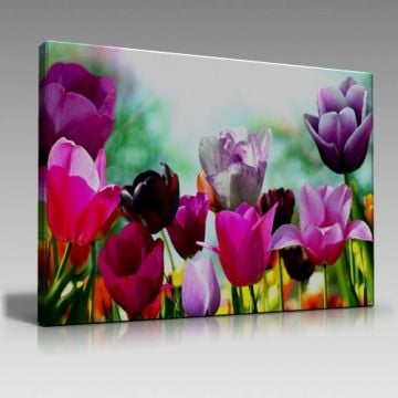 Laleler Tablo (90cm x 60cm)