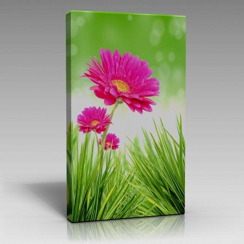 Pembe Çiçekler-2 Tablo (45cm x 65cm)