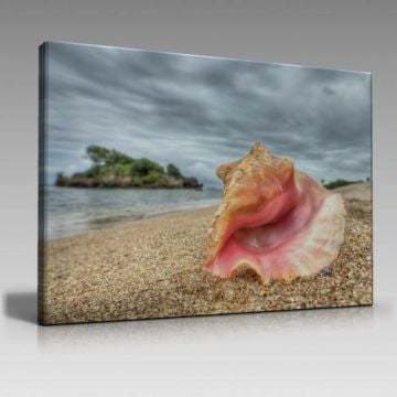V547 (120cm x 80cm)