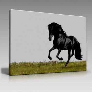 V966 (100cm x 70cm)