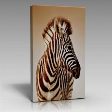 Kahverengi Zebra Tablo (90cm x 135cm)