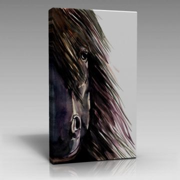 V680 (70cm x 100cm)