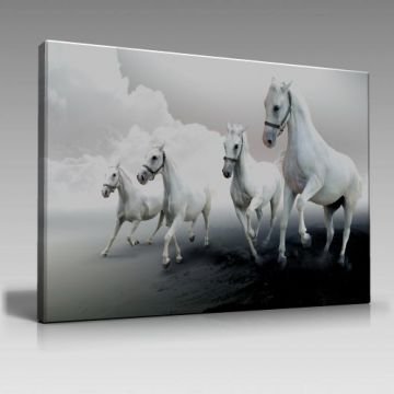 V1105 (135cm x 90cm)