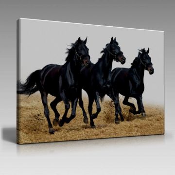 V458 (45cm x65cm)