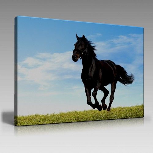 V460 (90cm x 60cm)