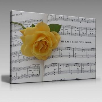 Müzik Notaları ve Gül Tablo (90cm x 60cm)