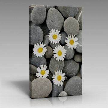 Papatyalar Tablo (70cm x 100cm)