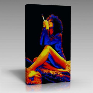 V1365 (60cm x 90cm)