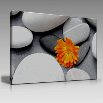 V978 (90cm x 60cm)