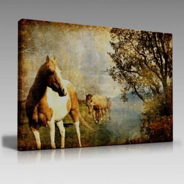 V827 (90cm x 60cm)