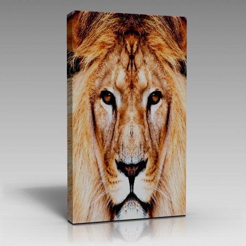 Aslan Kral Tablo (70cm x 100cm)