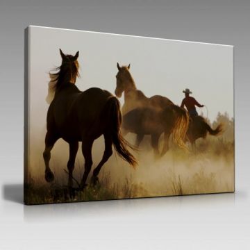 Vahşi batı tablo (45cm x65cm)