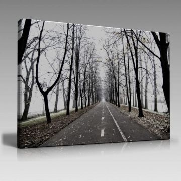 Ağaçlı Yol (45cm x65cm)