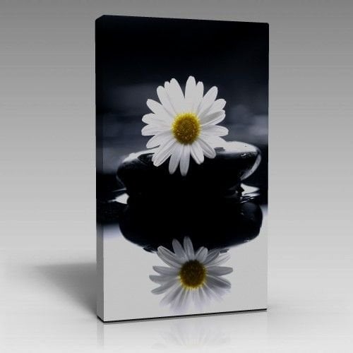 Papatya Tablo (70cm x 100cm)