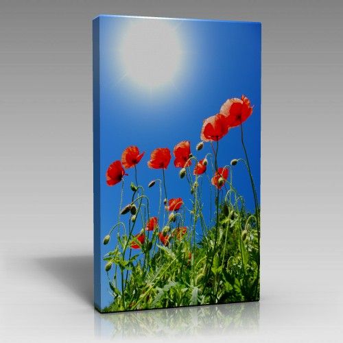 V707 (45cm x 65cm)