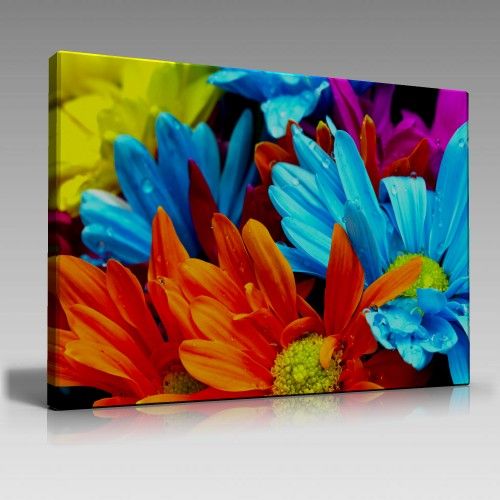 Renkli karanfiller (100cm x 70cm)