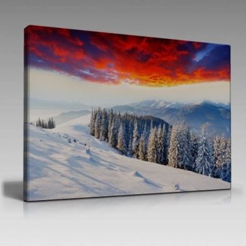 V605 (100cm x 70cm)