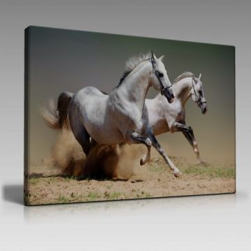 V1241 (100cm x 70cm)
