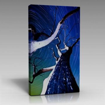 Ağaç Tablo (70cm x 100cm)