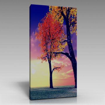 Rengarenk Tablo (60cm x 90cm)