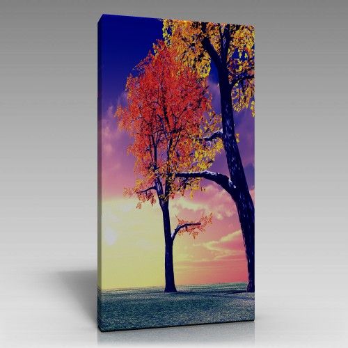 Rengarenk Tablo (80cm x 120cm)