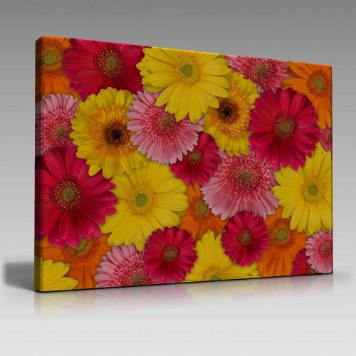 V1832 (120cm x 80cm)