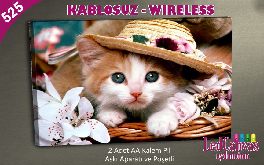 Şapkalı Kedi Led Kanvas  Işıklı Tablo