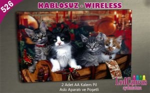 Kediler Led Kanvas  Işıklı Tablo