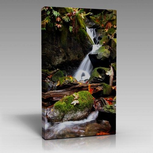 V493 (80cm x 120cm)
