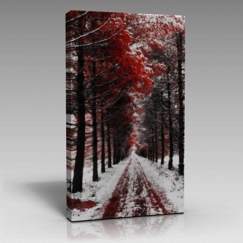 V1253 (80cm x 120cm)