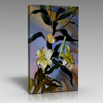 V859 (70cm x 100cm)