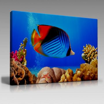 Mavi Okyonus Tablo (135cm x 90cm)
