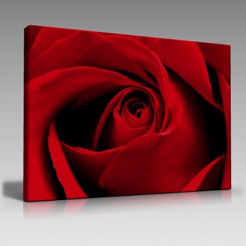 Kırmızı Gül Tablo (45cm x65cm)