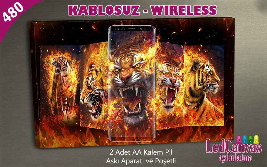 Aslanlar  Led Işıklı Tablo