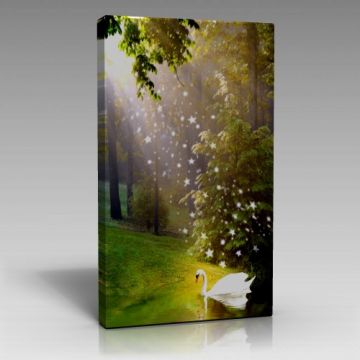 V626 (90cm x 135cm)