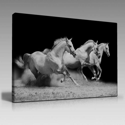 V1408 (100cm x 70cm)